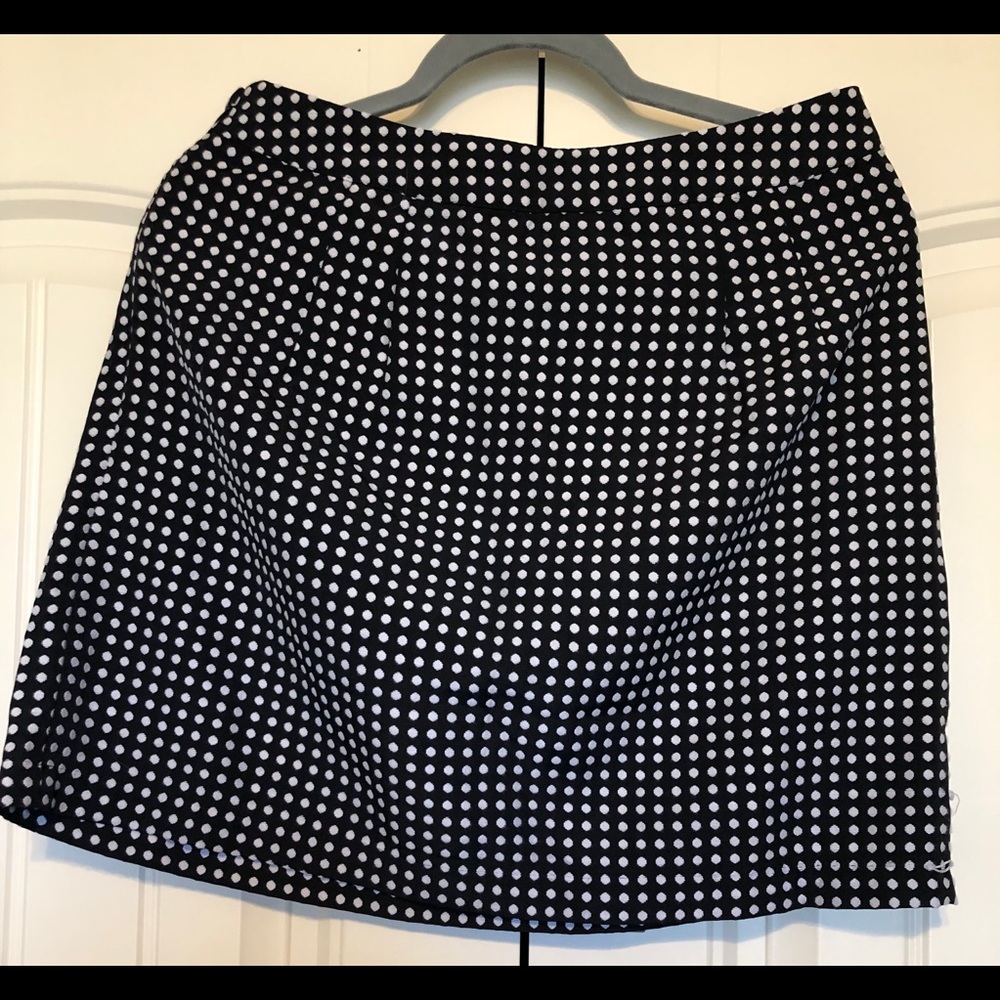 The Limited Mini Skirt